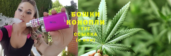 сатива Богородицк