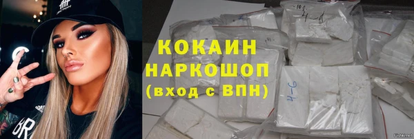 индика Богородск