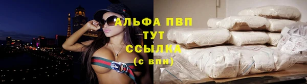 не бодяженный Бородино