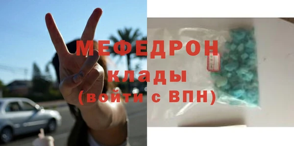 индика Богородск