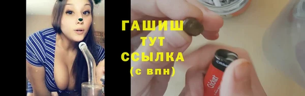 сатива Богородицк