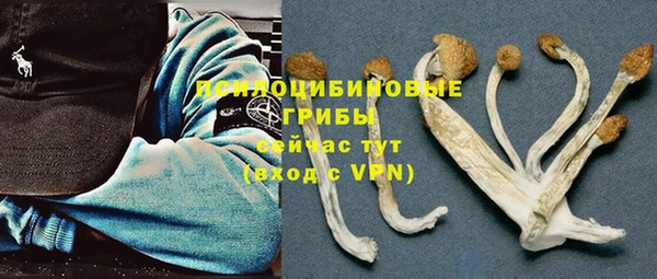 СК Богданович