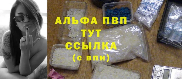 индика Богородск
