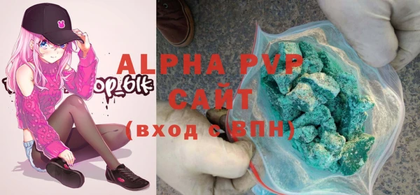 индика Богородск