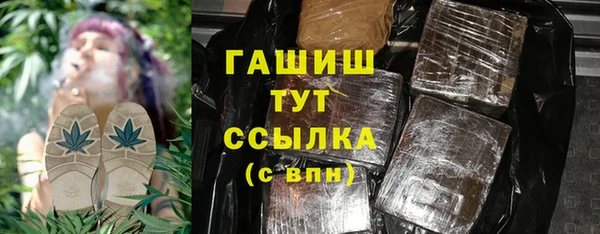 индика Богородск