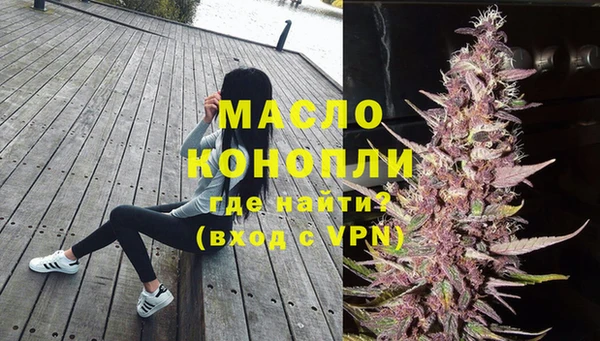 индика Богородск