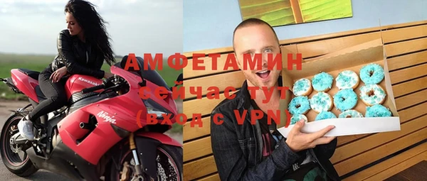 индика Богородск