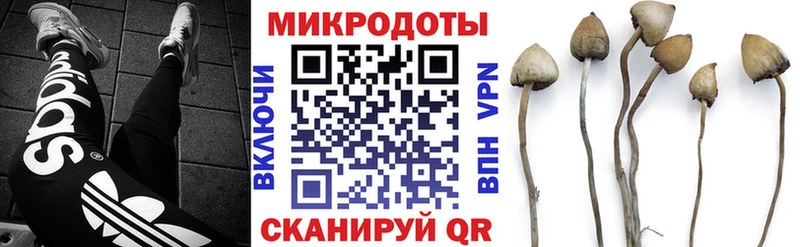 цены наркотик  Кириши  Псилоцибиновые грибы мицелий 
